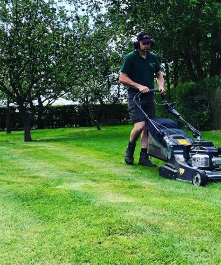When should I scarify lawn?