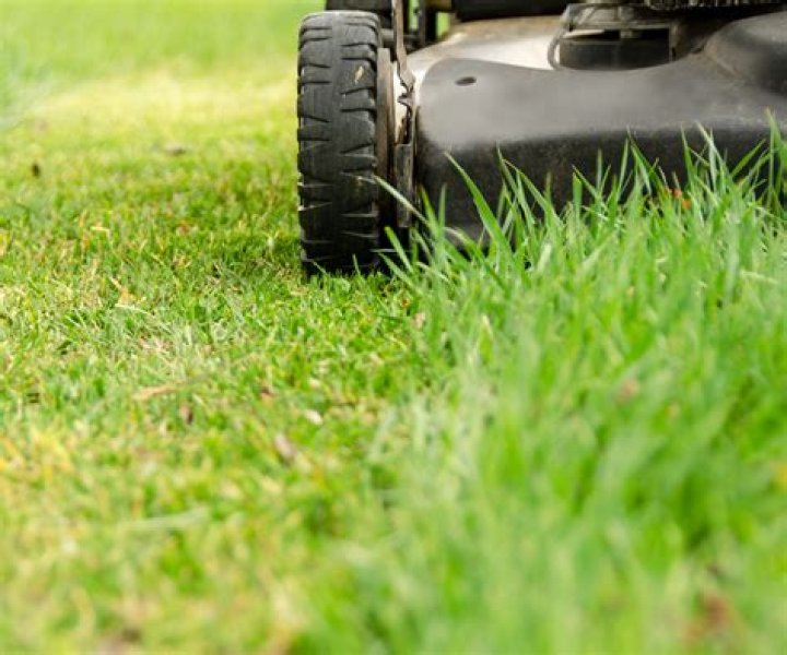 When should I stop mowing my lawn in the fall?