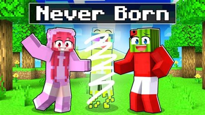 When was Steve Born Minecraft?