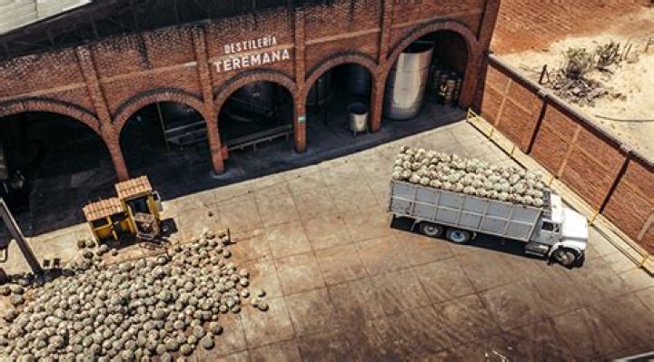 When was Teremana Tequila founded?