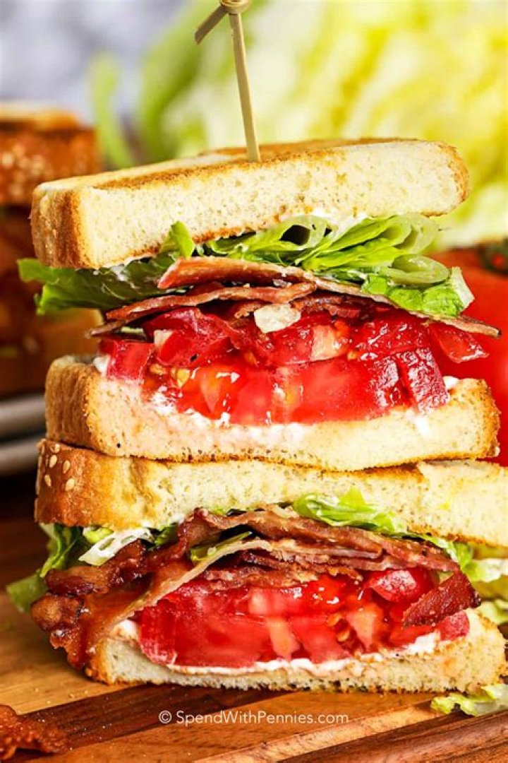 When was the sandwich popularized in England?