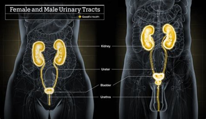 When you feel like you have a UTI but don t?