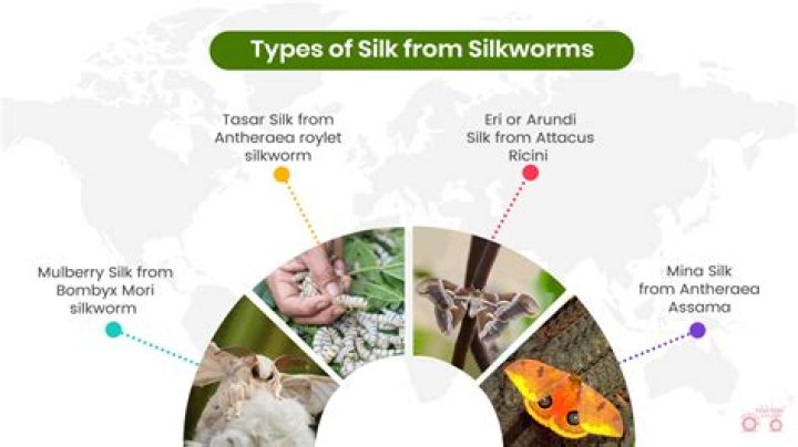 Where did aerial silks come from?