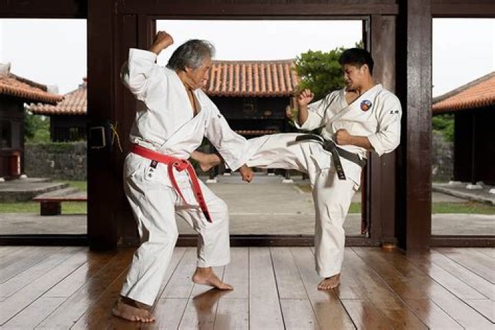 Where did isshinryu karate originate?