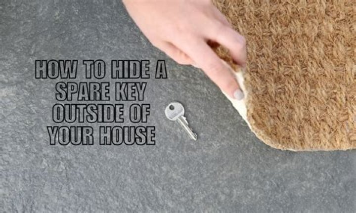 Where do bats hide in a house?