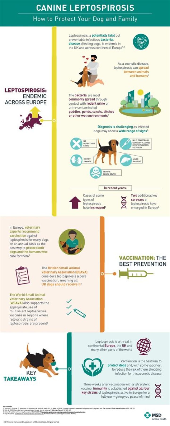 Where do dogs get leptospirosis?