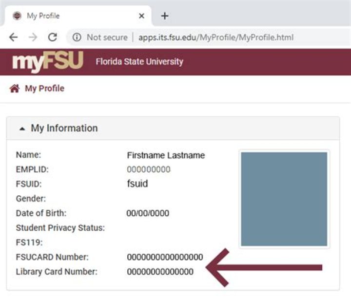 Where do I find my FSU student ID number?