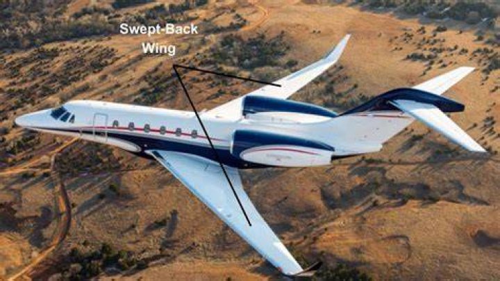 Where does the stall start on a swept back wing?