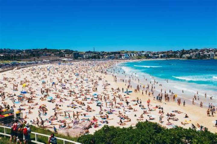Where is Bondi Beach?
