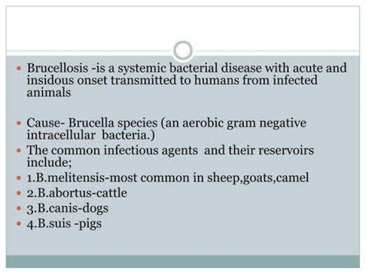 Where is brucellosis most common?