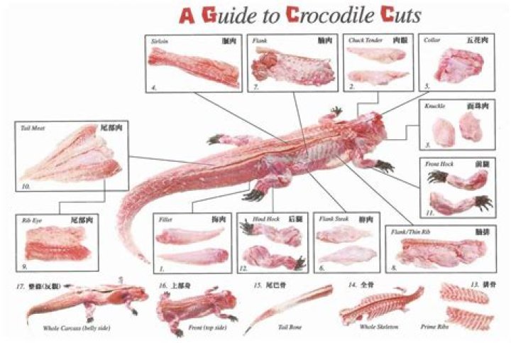 Where is crocodile meat eaten?