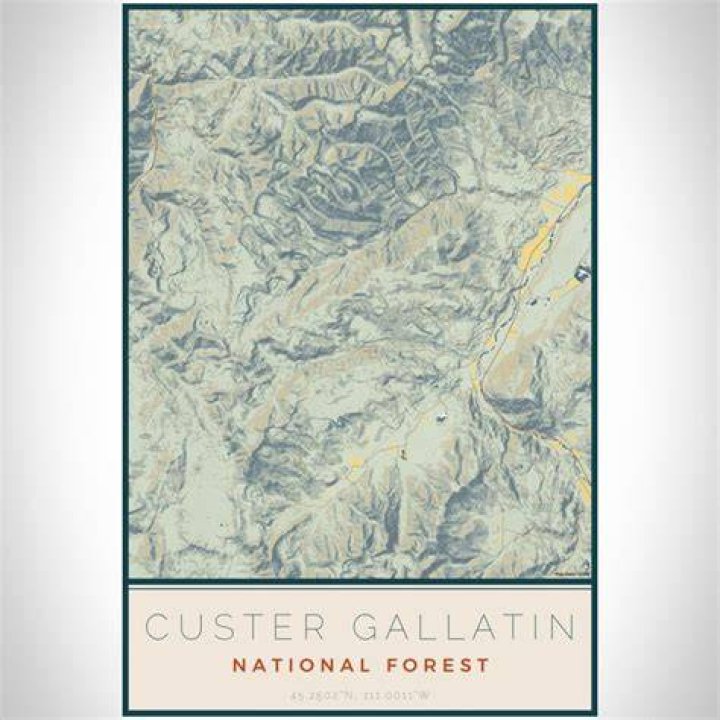 Where is Custer Gallatin National Forest?