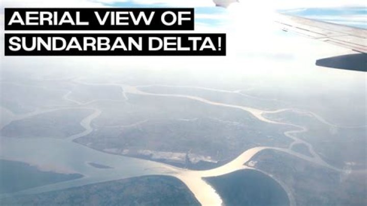 Where is Sundarban delta How is it formed what makes it special in the world?