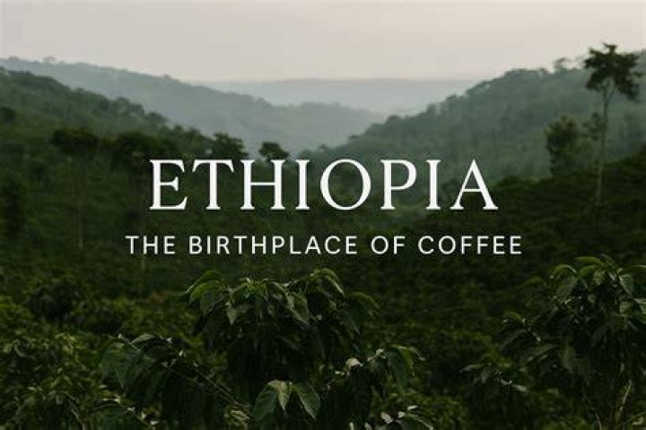 Where is the birthplace of coffee?