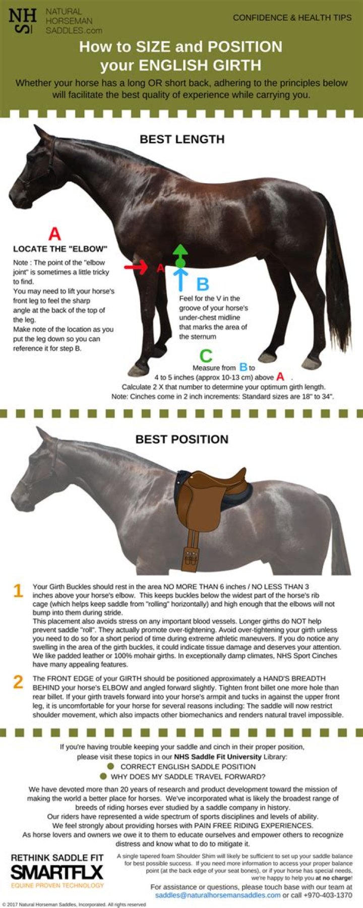 Where should cinch be on horse?