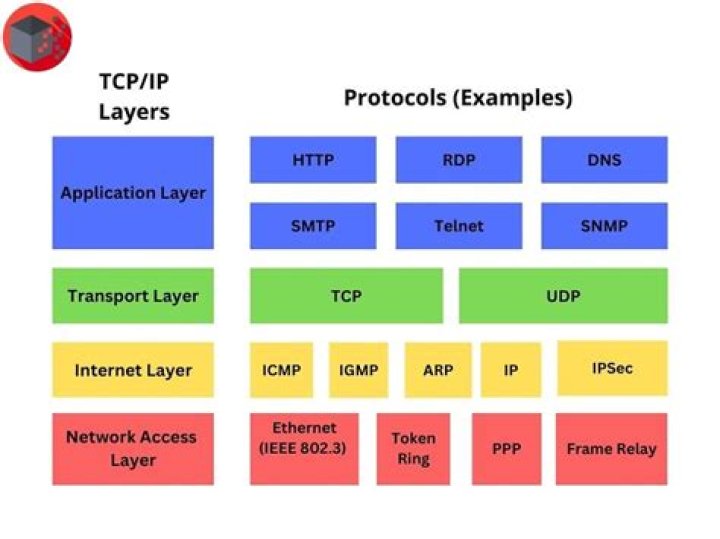 Which 2 protocols are used in the transport layer of the TCP IP model?