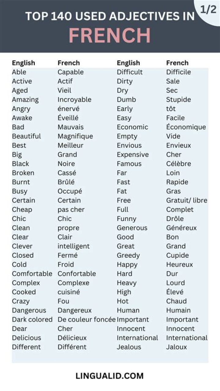Which adjectives are irregular in French?