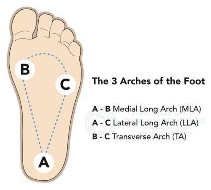 Which arch is the highest of the three foot arches?