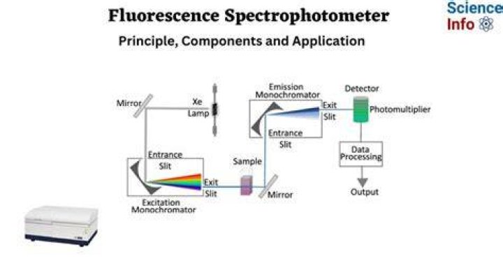 Which are the variants of fluorimetry instrument?