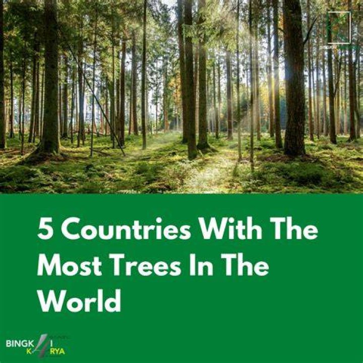 Which country cut down the most trees?