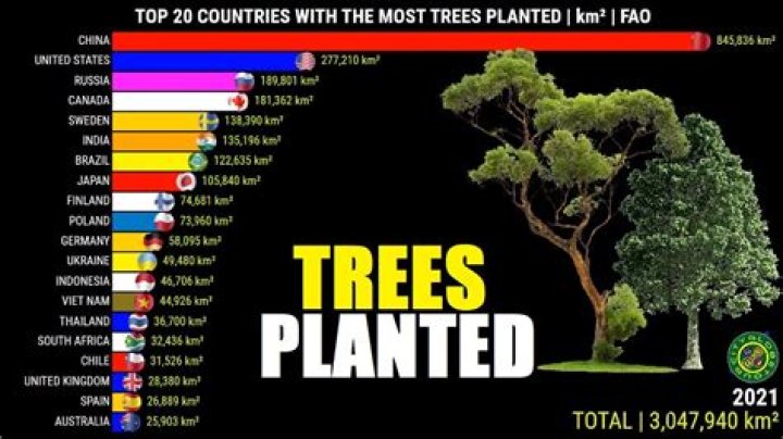 Which country has more no of trees?