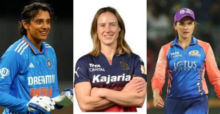 Which cricketer is married to a female cricketer?