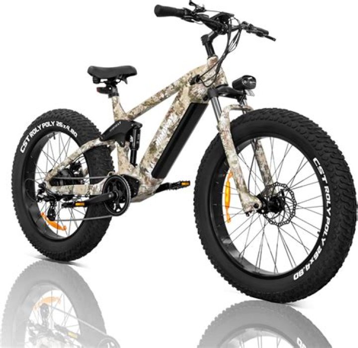 Which cycle is best fat bike or MTB?