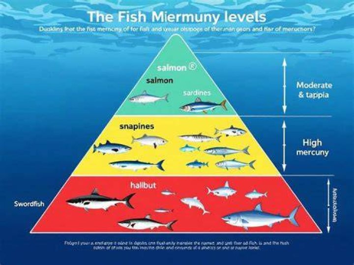 Which fish has the most mercury?