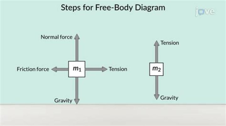 Which force is responsible to fall vertically thrown upward?