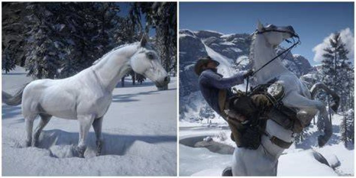 Which horse is best AC Odyssey?