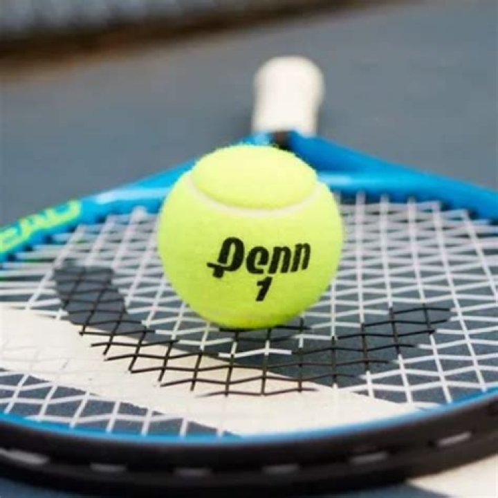 Which is best tennis ball?