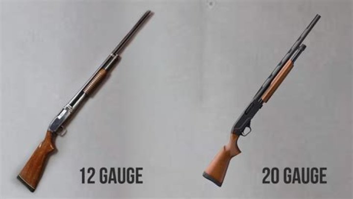 Which is better for deer hunting 12-gauge or 20-gauge?