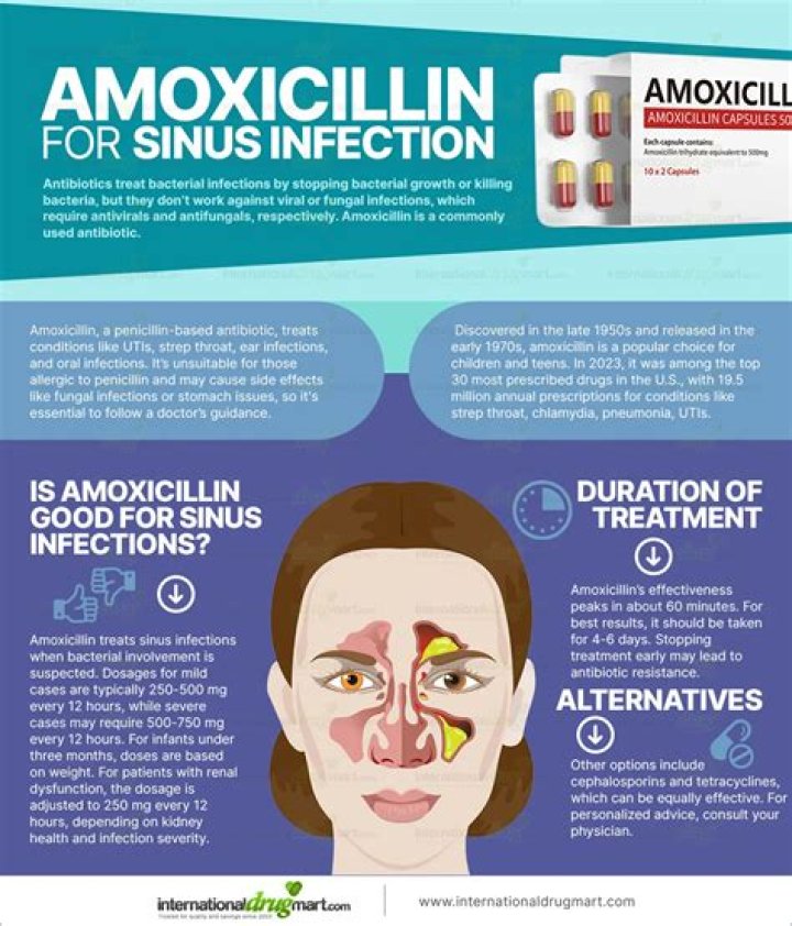 Which is better for tooth infection amoxicillin or cephalexin?