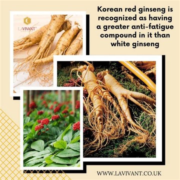 Which is better red or white ginseng?
