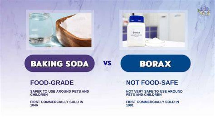 Which is stronger borax or baking soda?