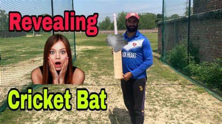 Which is the best English willow bat?