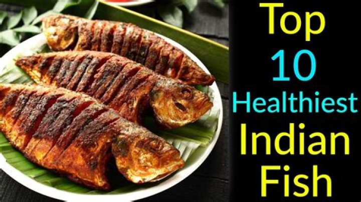 Which is the healthiest fish in India?