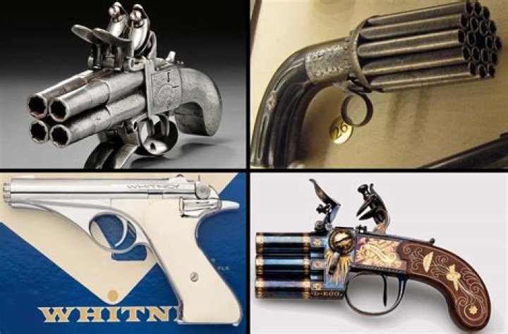 Which is the number one gun in the world?