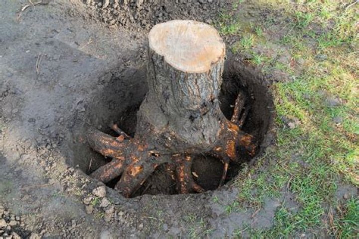 Which is the off stump?
