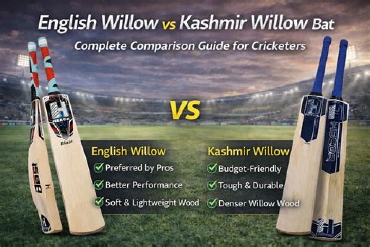 Which Kashmir willow bat is best?