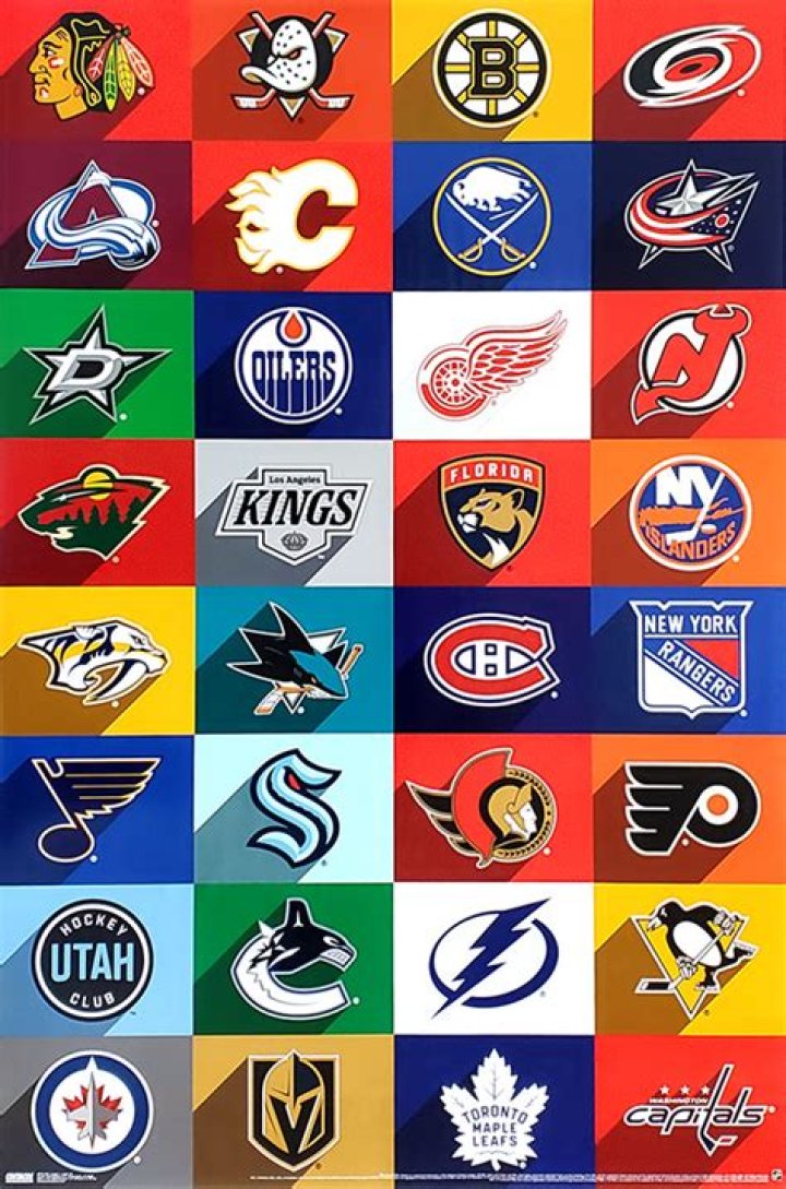 Which NHL teams have not played an outdoor game?