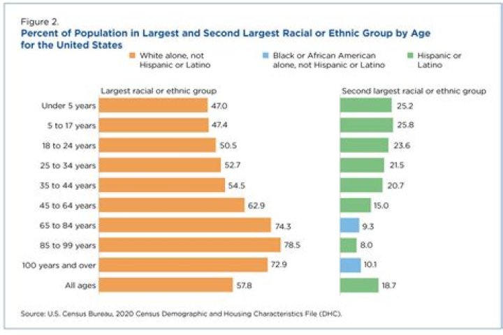 Which of these racial ethnic groups has the highest rate of poverty quizlet?