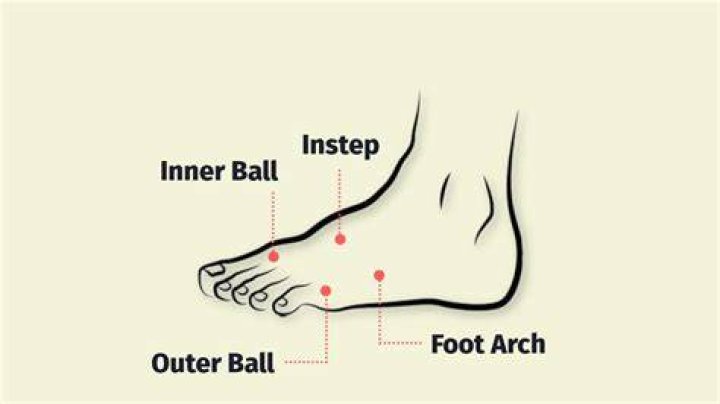 Which part of the foot is the instep?