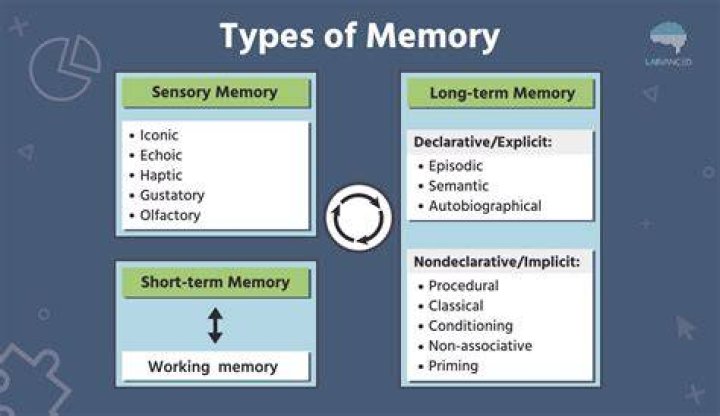 Which personality type has photographic memory?