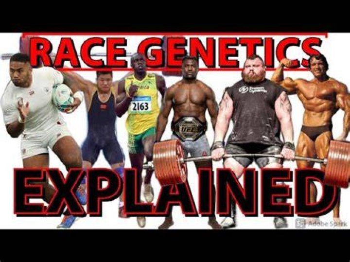 Which race has the most muscle mass?