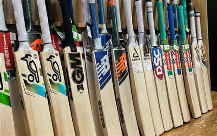 Which wood is used for cricket bat?