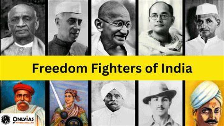 Who are the Minnesota Freedom Fighters?