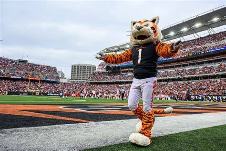 Who Dey mascot?
