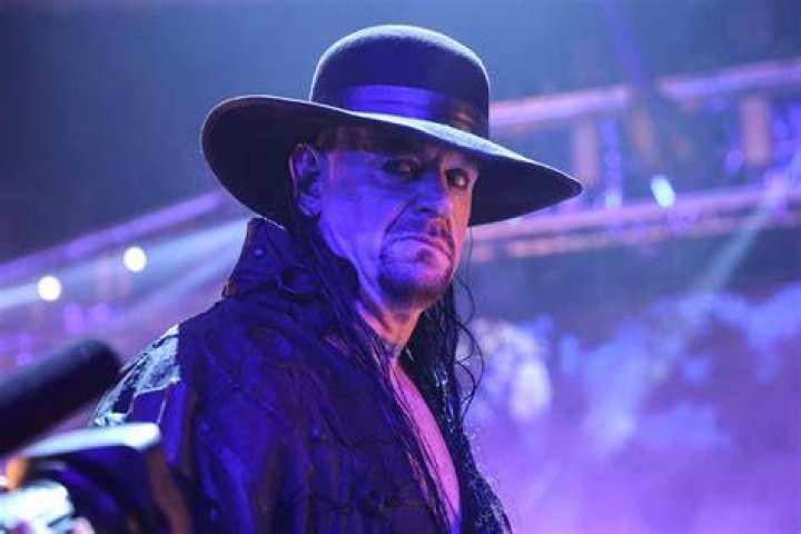 Who did Undertaker face at WrestleMania 29?