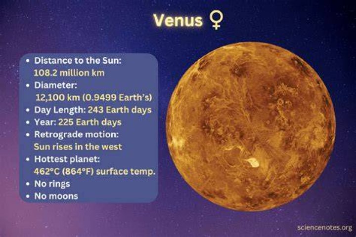 Who did Venus play when she was 14?